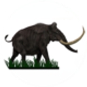 Black Mammoth Metals Corporation Logo