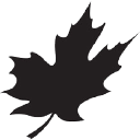 Canadian Metals Inc Logo