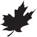Canadian Metals Inc Logo