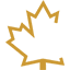 Canex Metals Inc Logo