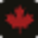 Champion Bear Resources Ltd Logo