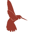 Colibri Resource Corporation Logo