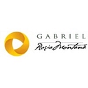 Gabriel Resources Ltd Logo