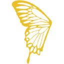 Lode Gold Resources Inc Logo