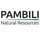 Pambili Natural Resources Corp Logo