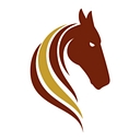 Pasofino Gold Ltd Logo