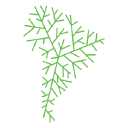 Sali Lithium Corp Logo