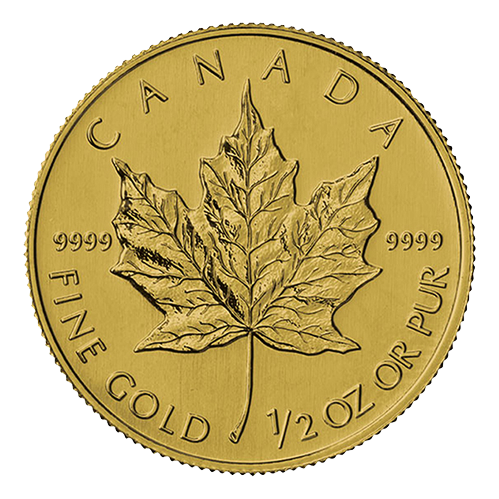 1/2 oz Canadian Gold Maple Leaf Coin, .9999 fine gold, Royal Canadian Mint