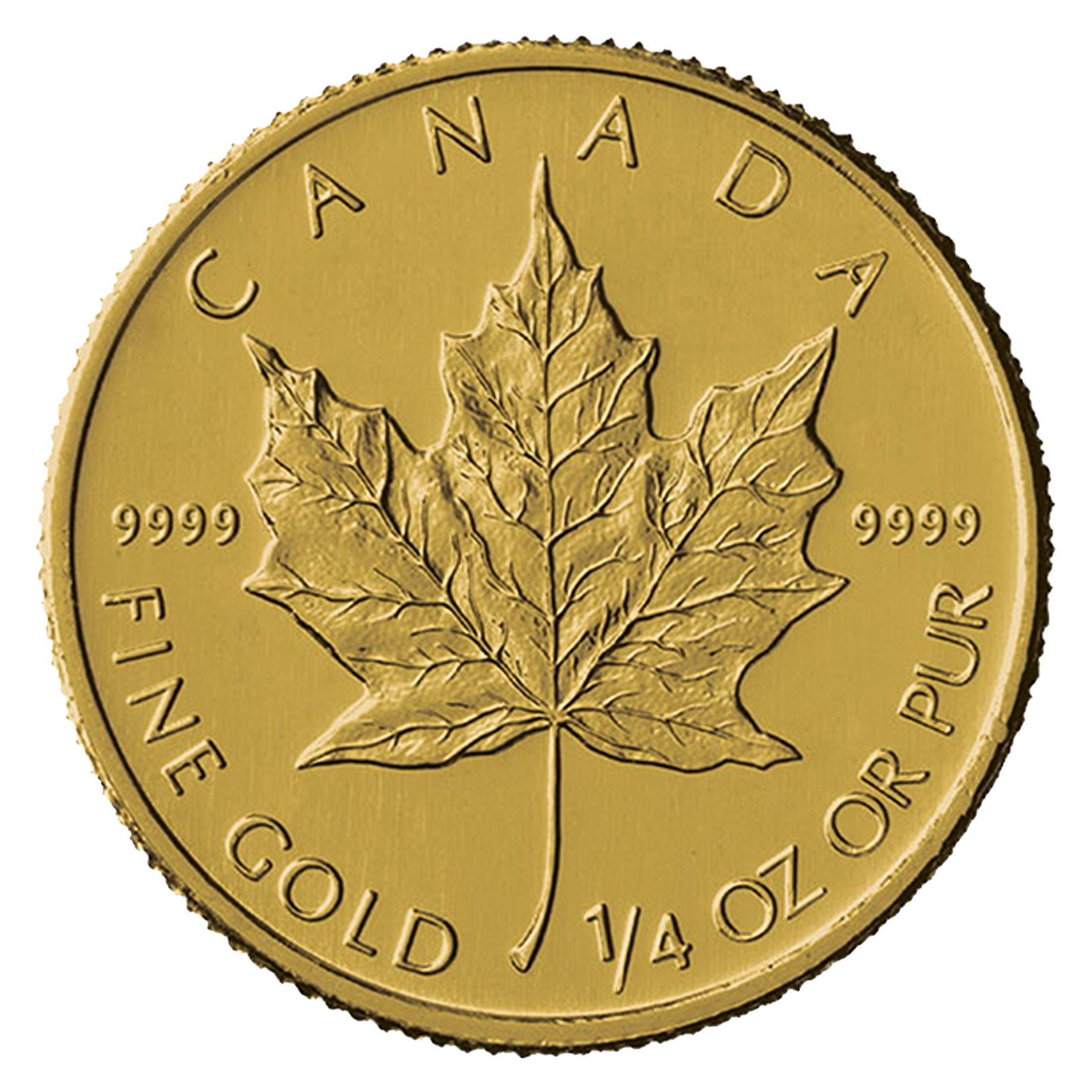 1/4 oz Canadian Gold Maple Leaf Coin, .9999 fine gold, Royal Canadian Mint