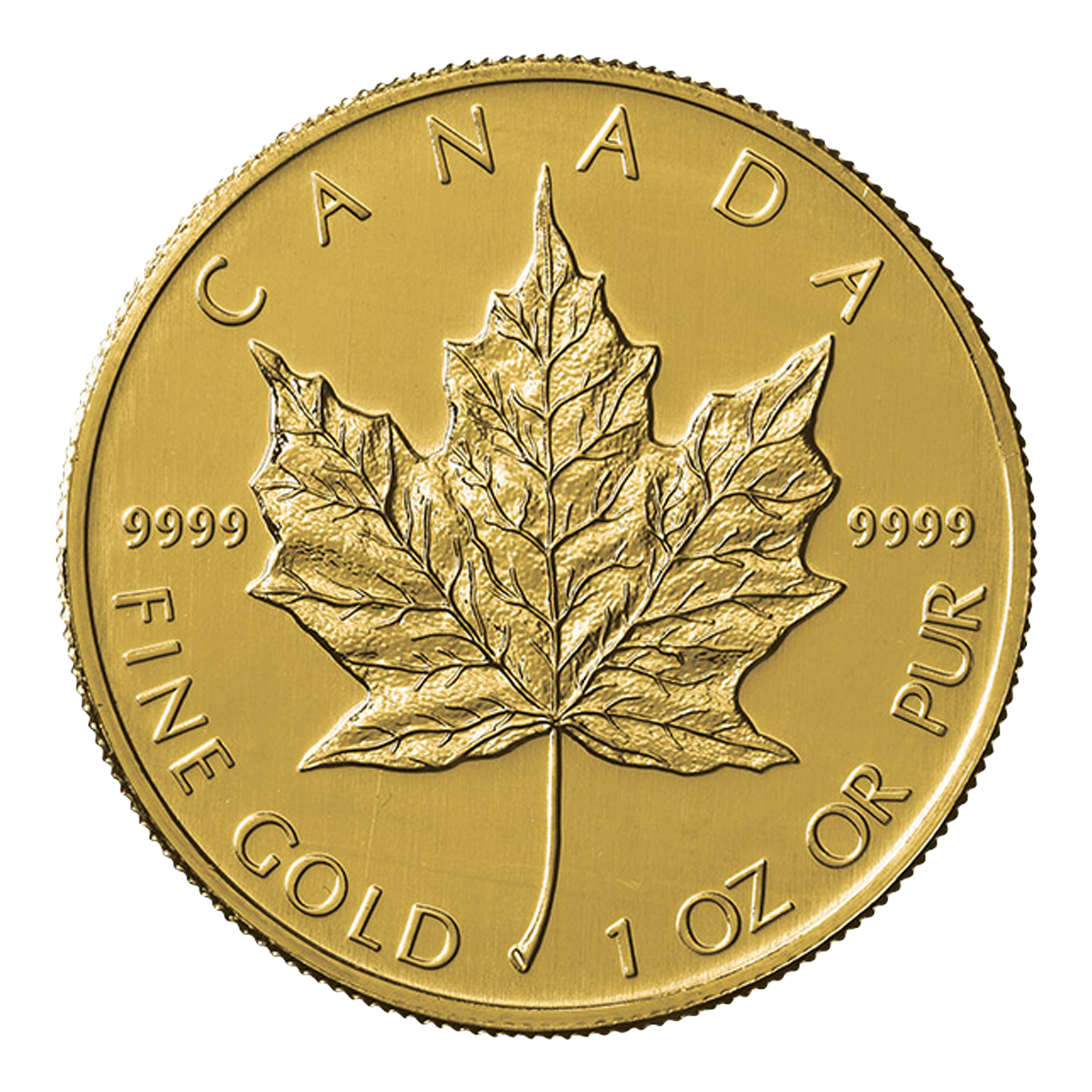 1 oz Canadian Gold Maple Leaf Coin, .9999 fine gold, Royal Canadian Mint